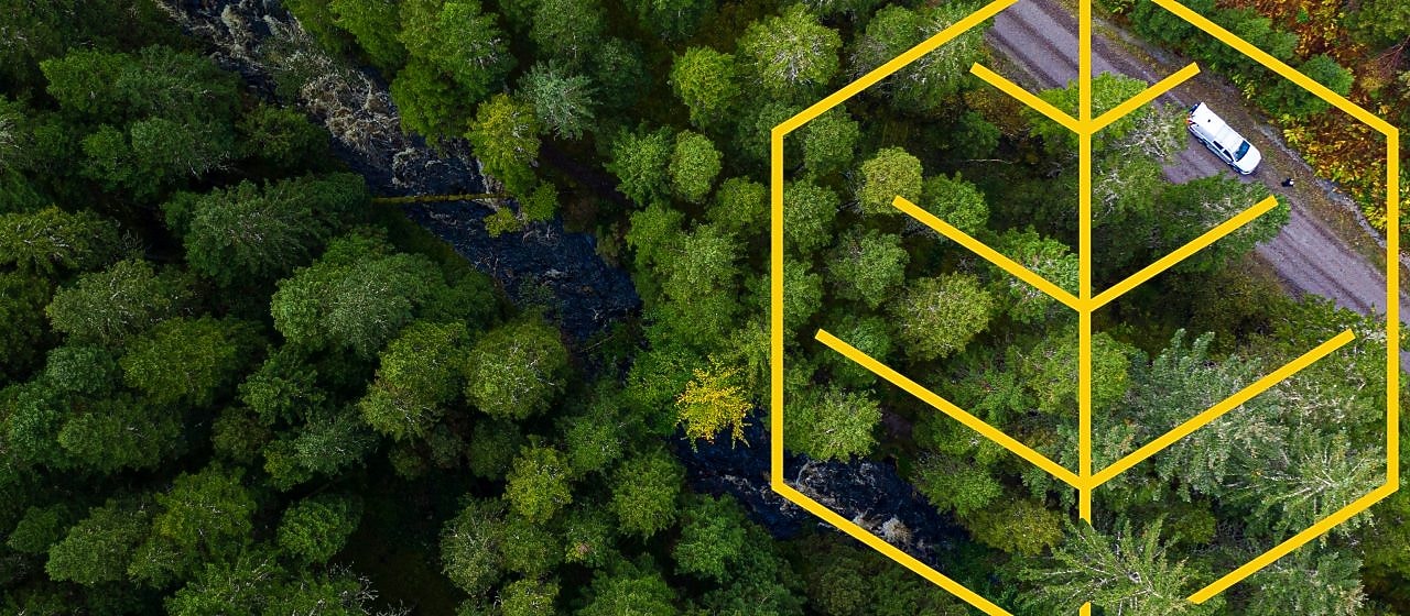 Aerial view of a river and a white truck on a road in a pine forest with an outline of the Respecting nature graph