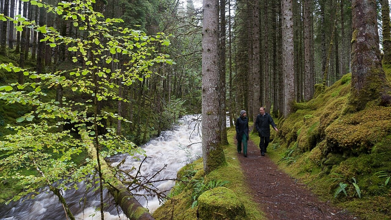 A man and a woman walking along rapids in a forest