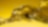 Shell oils and lubricants