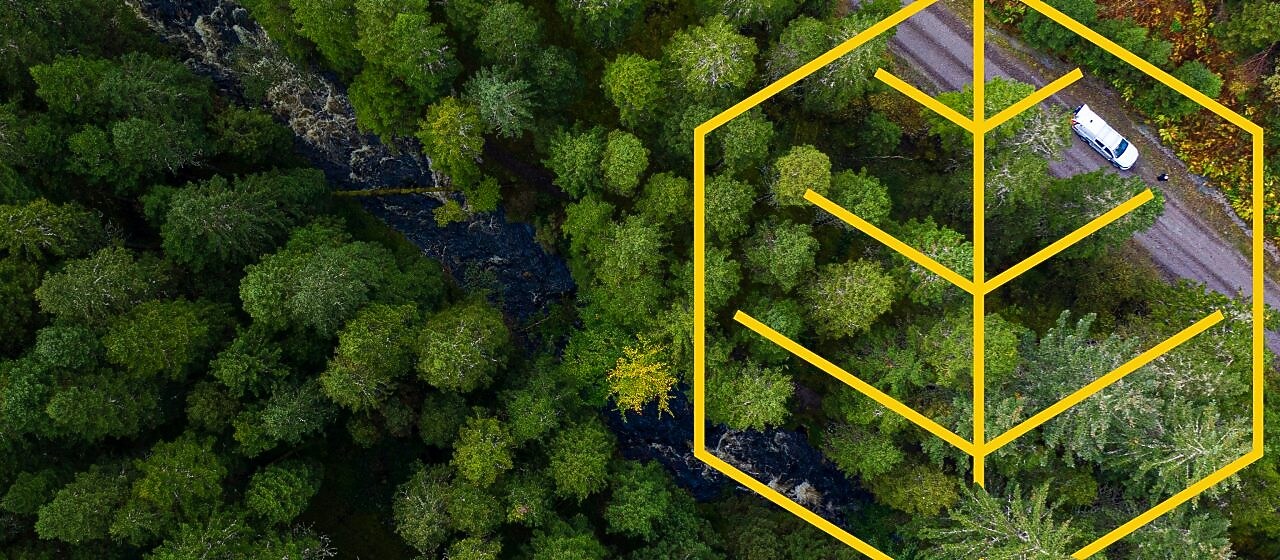 Vista aérea de un río y un camión blanco en una carretera en un bosque de pinos con un resumen del gráfico de Respeto por la naturaleza