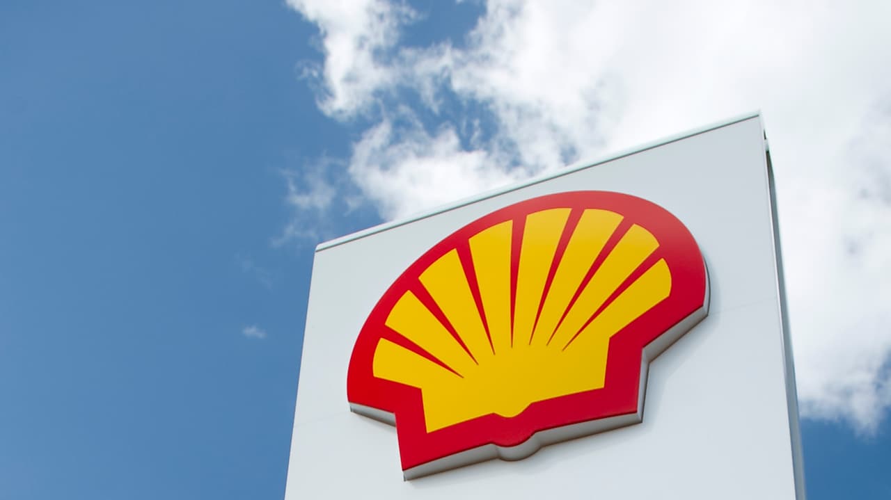 Shell Pecten con cielo azul atrás"